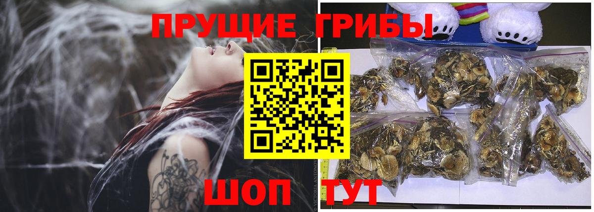 Абинск  Галлюциногенные грибы Psilocybe  Вход с VPN 